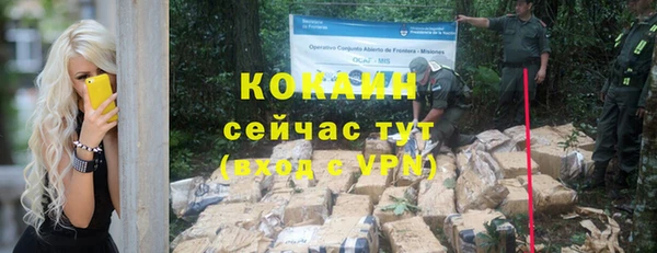дживик Абаза