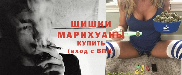 дживик Абаза