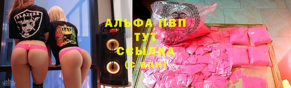 дживик Абаза