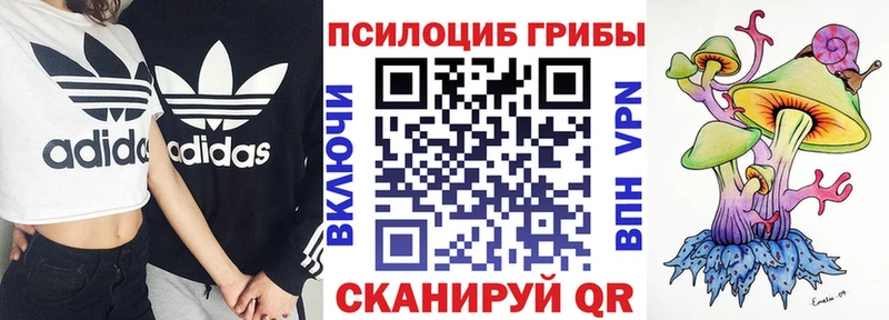 Галлюциногенные грибы GOLDEN TEACHER  Костомукша 